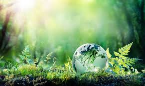 Environmental Science Degree